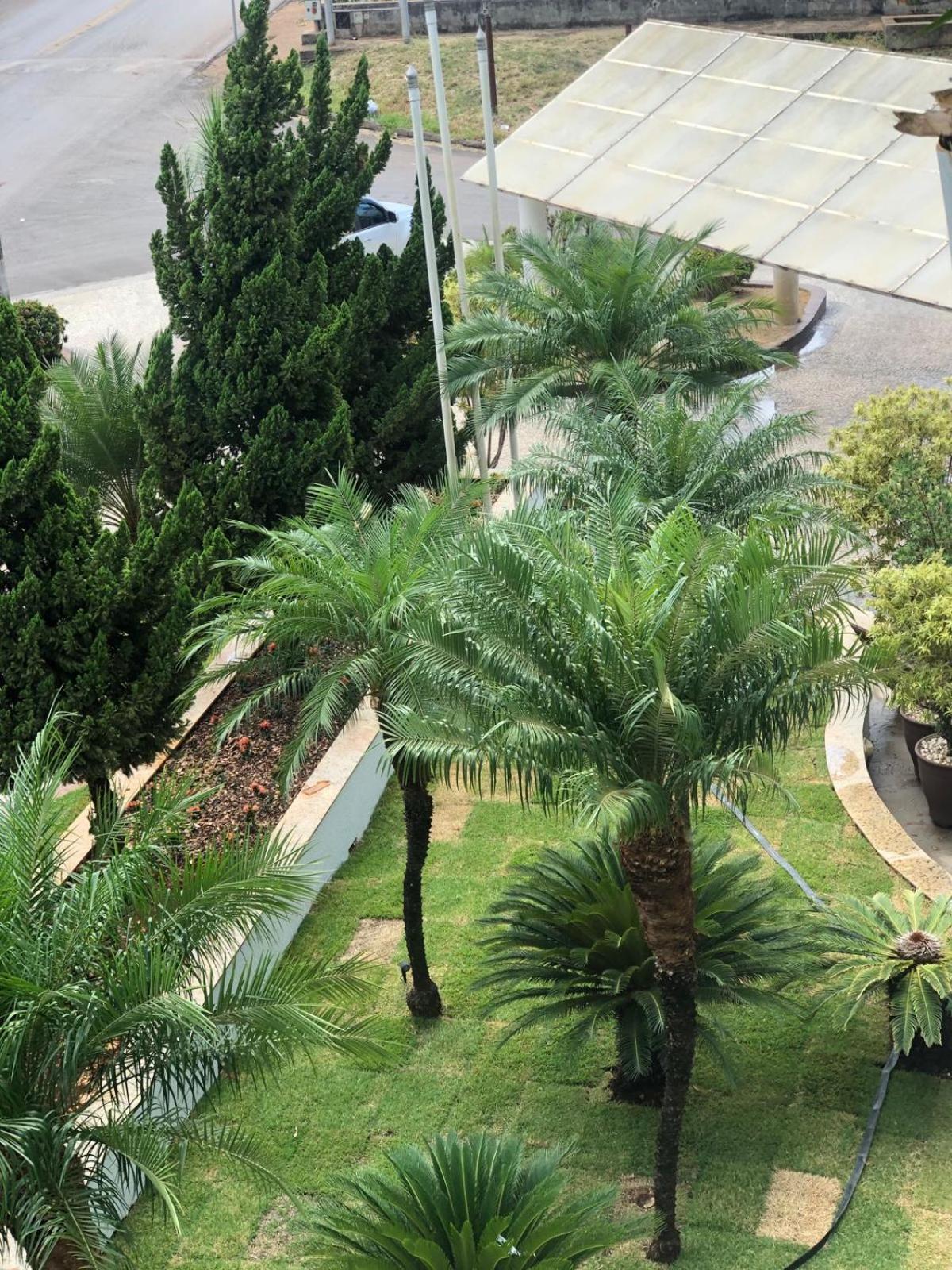 Paracatu Plaza Hotel Dış mekan fotoğraf